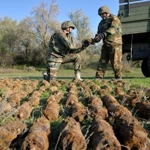 Răscăieții Noi, Ștefan Vodă