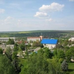 Raionul Șoldănești