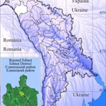 Terebna, Edineț