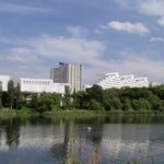 Valea Trandafirilor (Chișinău)