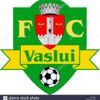 FC Vaslui