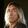 Iggy Pop