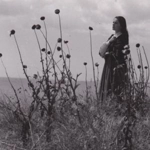 Ciulinii Bărăganului (film)