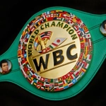 Consiliul Mondial de Box