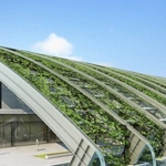 Extreme Light Infrastructure