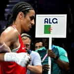 Organizația Mondială de Box