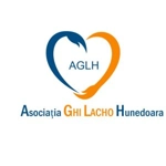 Organizație neguvernamentală