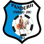 Pandurii Târgu Jiu