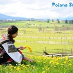 Poiana Stampei, Suceava