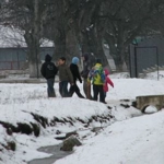 Tudor Vladimirescu (Albești), Botoșani