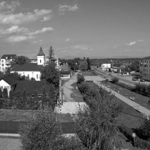 Ulmeni