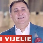 Vali Vijelie