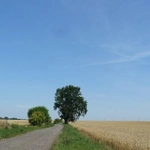 Варнице (гмина)